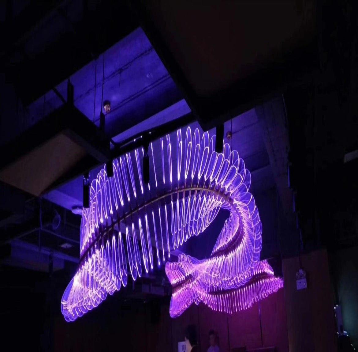 Commercial Purple Dragon Lighting