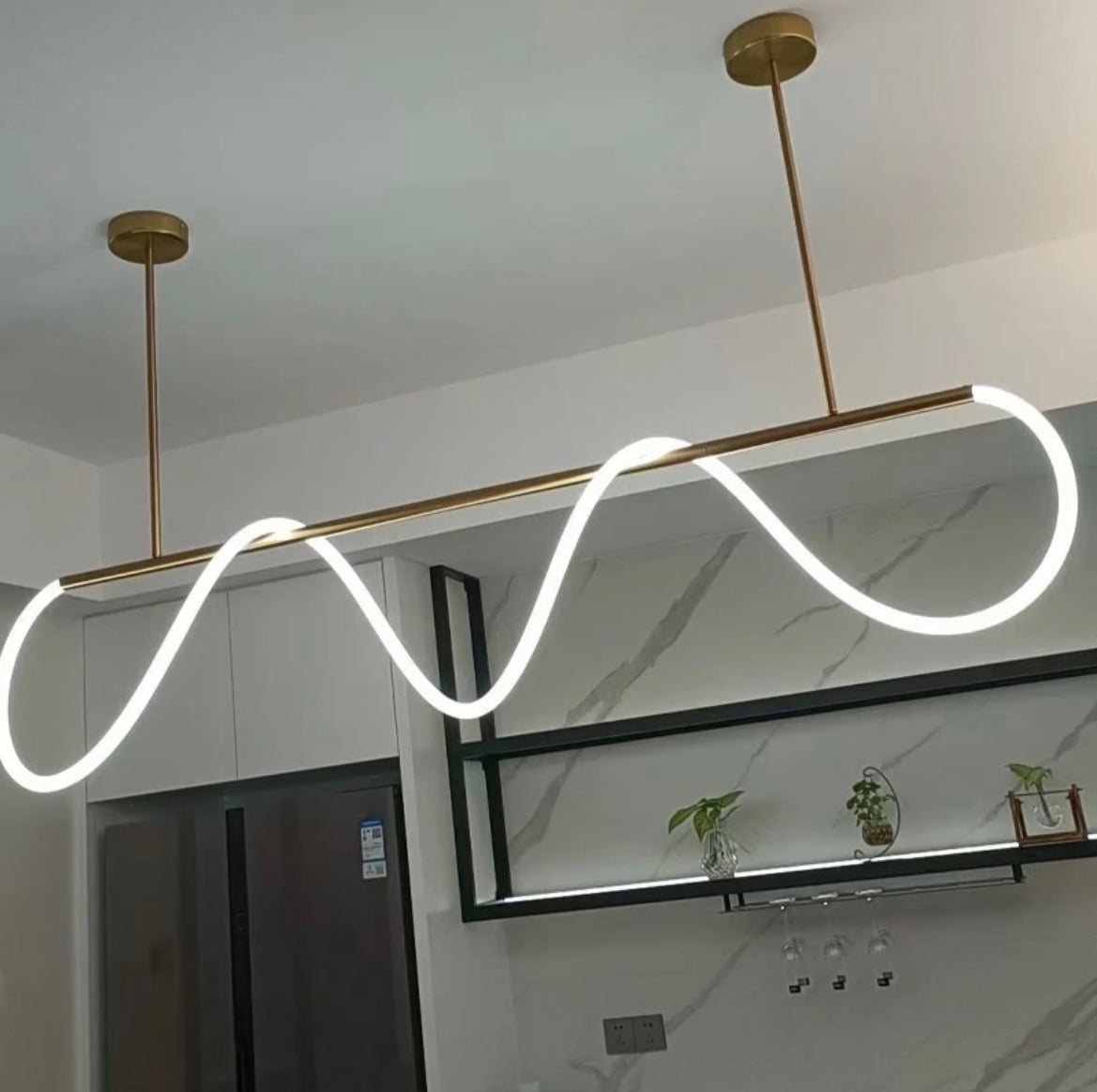 Modern Hose LED Ceiling Chandelier light